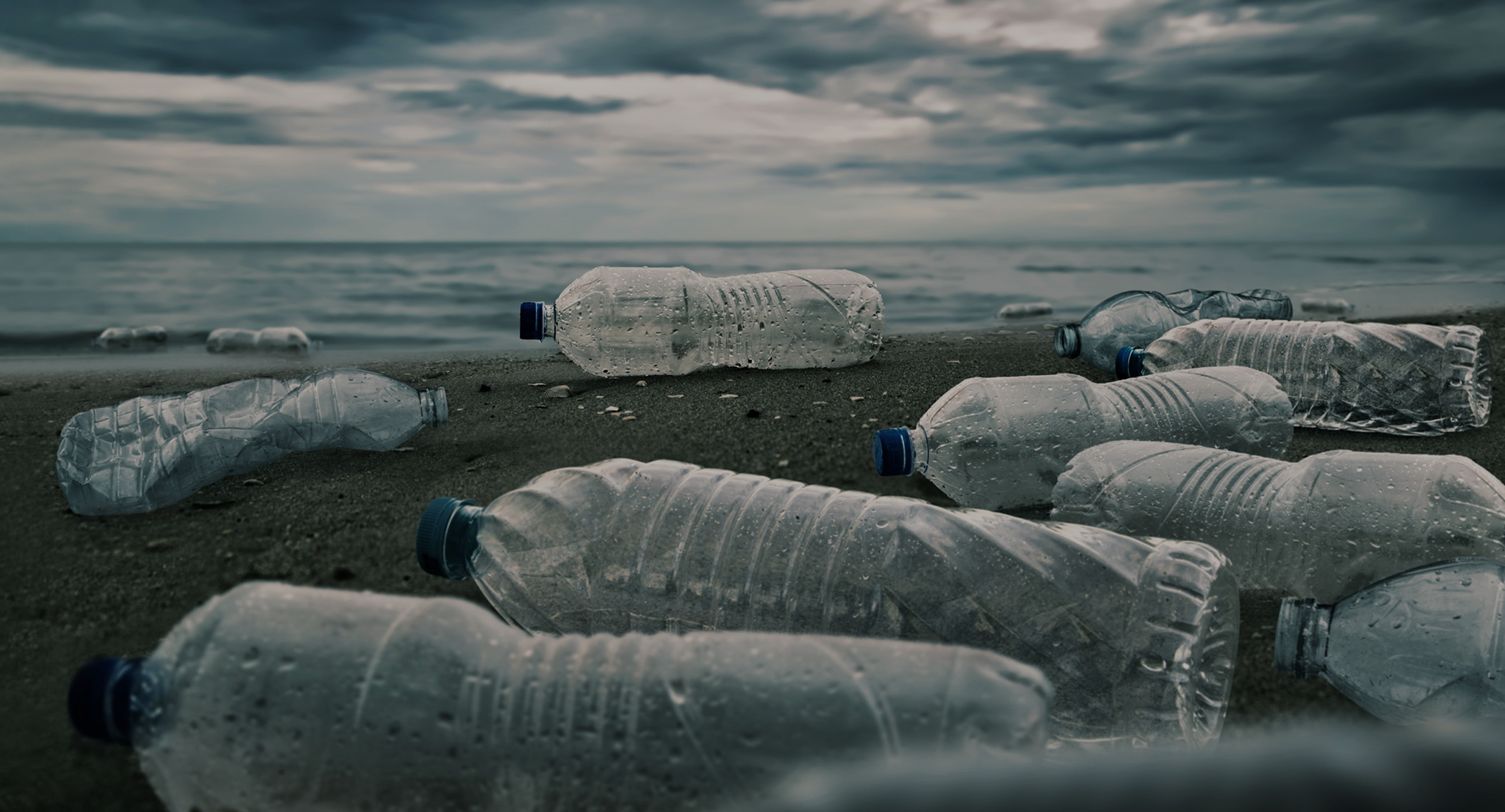 eco sostenibilità ambiantale